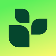 Lifesum